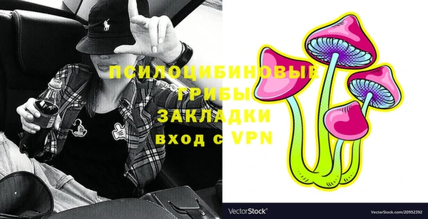 твердый Алексеевка