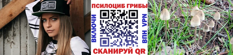 где купить   Салават  Галлюциногенные грибы GOLDEN TEACHER 